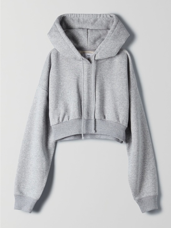 TNA Tops - 352. TNA Aritzia The Supper Crop Hoodie